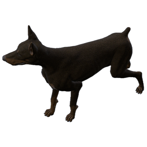 Dobermann