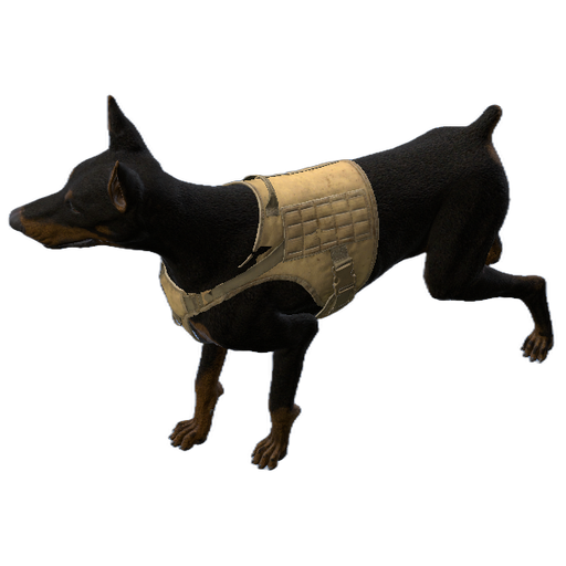 Dobermann