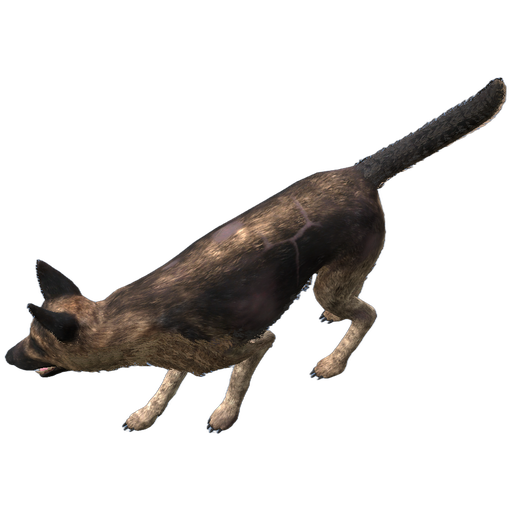 German Shepherd, balding in DayZ