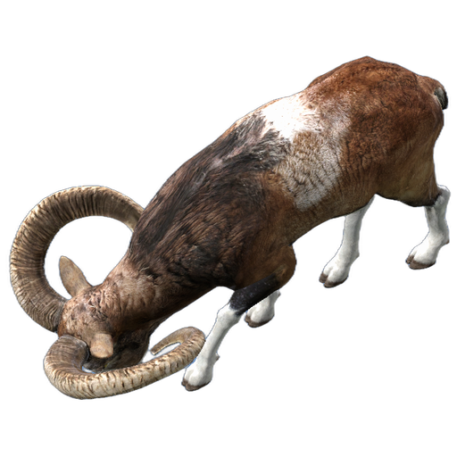 Mouflon in DayZ