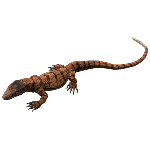 Desert Monitor in DayZ